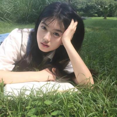 远去的飞鹰